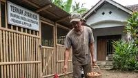 7 Menu Harian Ayam Kampung Cepat Gemuk dengan Pola Pagi Siang Malam yang Mudah Ditiru