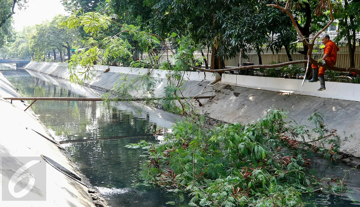 Petugas Dinas Kebersihan DKI Jakarta menebang pohon yang hampir roboh di atas saluran air Bundaran HI, Jakarta, Minggu (15/11/2015). Pohon tersebut dipangkas agar tidak menghambat sampah aliran air. (Liputan6.com/Yoppy Renato)