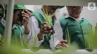 Sejumlah murid SD Laboratorium Jakarta melihat tanaman hidroponik di Balaikota Farm, Jakarta, Selasa (15/10/2019). Kegiatan belajar di luar ruangan ini untuk mengenal bibit, cara menanam, nutrisi dan media tanam hidroponik. (Liputan6.com/Faizal Fanani)