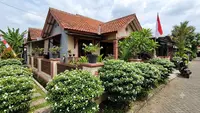 9 Jenis Semak Hias yang Tidak Perlu Sering Dipangkas, Cocok untuk Pemula