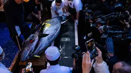 Lelang tahunan ini terkenal karena harga ikan tuna sirip biru yang fantastis, bahkan sering kali mencapai miliaran rupiah. Tampak dalam foto, seekor tuna sirip biru yang memenangkan penawaran tertinggi pada lelang tahunan “Tahun Baru” sesaat sebelum dibawa ke restoran Sushi Zanmai di Tokyo, Senin, 5 Januari 2026. (AP Photo/Louise Delmotte)