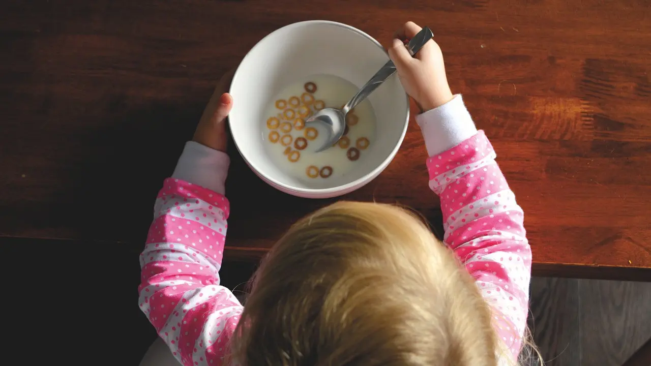 Ilustrasi Anak Terlalu Banyak Makan Tanda Autisme? Ini Kata Dokter (pixabay)