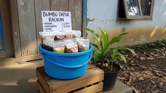 Ide Usaha Rumahan di Desa yang Cuma Pakai Ember
