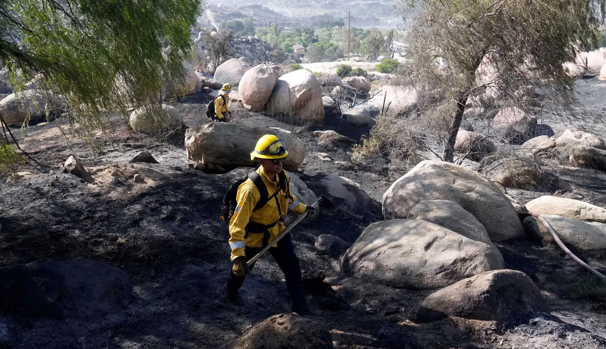 Anggota Pemadam Kebakaran dari San Diego County mencari sisa titik api di lokasi kebakaran Dataran Tinggi di Aguanga, California, pada Selasa, 31 Oktober 2023. (AP Photo/Marcio Jose Sanchez)