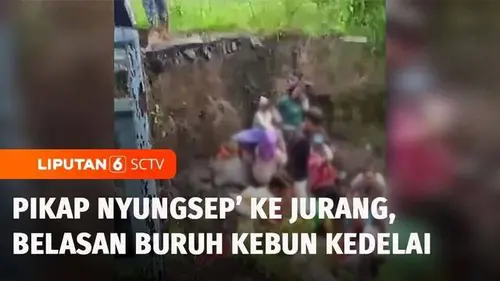 VIDEO: Pikap Angkut Buruh Kebun Kedelai Terjun ke Jurang di Bondowoso, Belasan Orang Luka