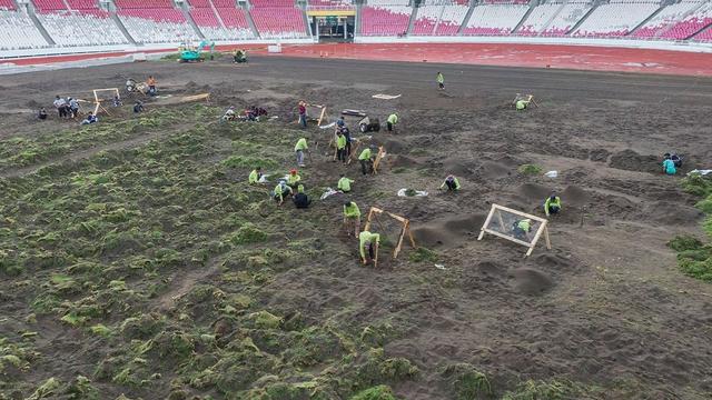 Renovasi lapangan Stadion Utama Gelora Bung Karno (SUGBK), Jakarta Pusat.