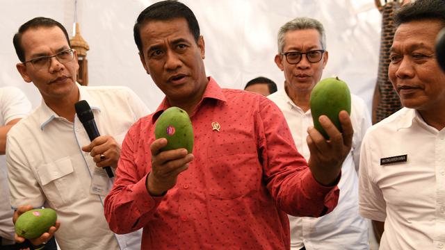 Kementan Ekspor 10 Ton Pisang Pontianak Ke Malaysia