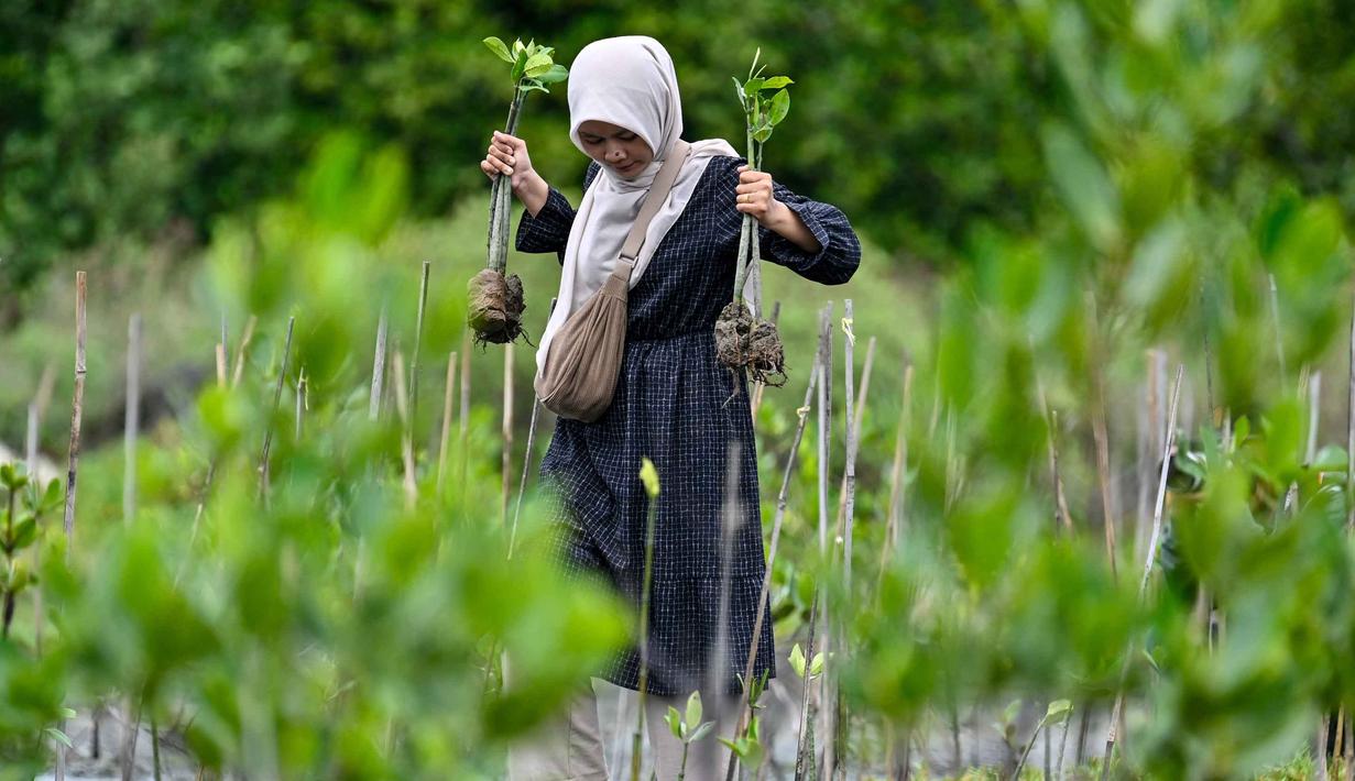 Melalui kegiatan ini, diharapkan, kesadaran lingkungan dan rasa tanggung jawab para siswa terhadap kelestarian alam semakin meningkat. (CHAIDEER MAHYUDDIN/AFP)