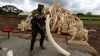 Presiden Kenya, Uhuru Kenyatta, mengutuk perdagangan ilegal gading yang mengakibatkan menipisnya populasi binatang berbelalai tersebut (Reuters/Dailymail.com). 