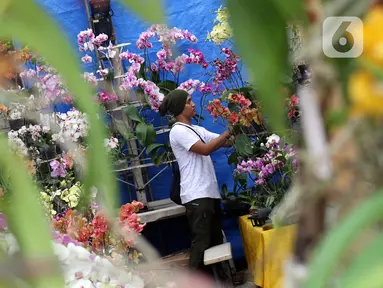 Pedagang menata bunga-bunga yang dijual pada pameran Keanekaragaman Hayati Nusantara Expo di Lapangan Banteng, Jakarta, Sabtu (30/11/2019). Pameran dalam rangka memperingati Hari Cinta Puspa dan Satwa Nasional 2019 ini berlangsung hingga 8 Desember mendatang. (Liputan6.com/Helmi Fithriansyah)