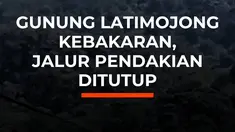 Kebakaran hutan dan lahan melanda kawasan Gunung Latimojong, Enrekang, Sulawesi Selatan.

Jalur menuju Puncak Rante Mario ditutup sementara karena titik api berada di sekitar jalur pendakian.

Hingga 28 Agustus 2026, tercatat 33 titik kebakaran dengan luas terdampak sekitar 124 hektare.