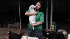 Susana Somali membawa seekor anjing yang disebut 'Putih' di Pejaten Shelter, rumah bagi lebih dari 1.400 anjing yang ia pelihara, di Jakarta, Kamis (2/7/2020). Jumlah anjing di penampungan telah meningkat sejak wabah COVID-19 dimulai di Indonesia. (AP Photo/Dita Alangkara)