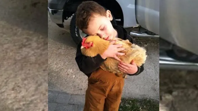 Photo: Copyright topinspired.com