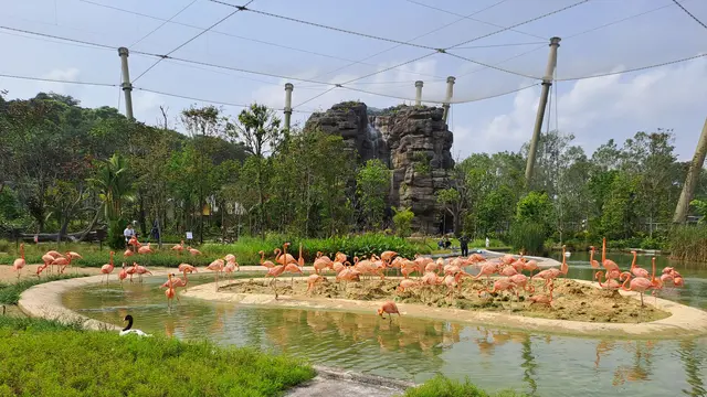Bird Paradise Singapura,  taman burung terbesar di Asia (Foto: Liputan6.com/Agustina Melani)