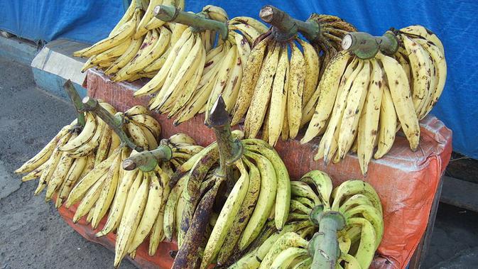 10 Manfaat Pisang Tanduk Salah Satunya Cegah Kanker Darah Hot Liputan6 Com