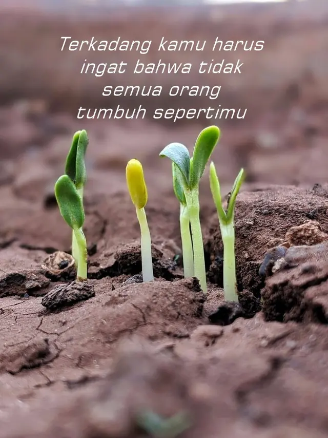 Gambar kata-kata sindiran buat teman