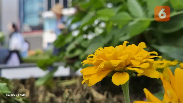Hasil foto dengan Samsung Galaxy Z Fold5 (Liputan6.com/Giovani Dio Prasasti)