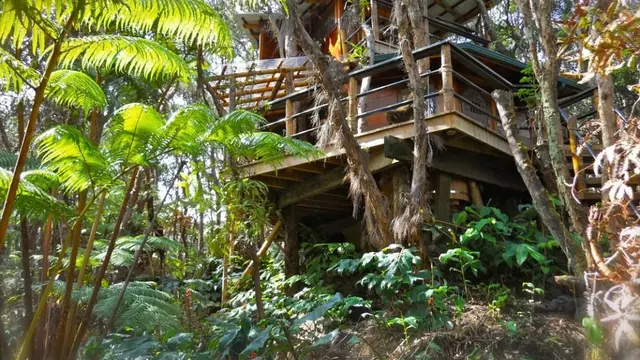 Berbaur dengan Alam, Ini 7 Rumah Pohon Terunik di Dunia