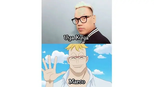 7 Seleb Tanah Air yang Mirip Karakter One Piece ala Netizen, Siapa Saja?