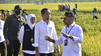 (Foto:Dok.Kementerian Pertanian RI)