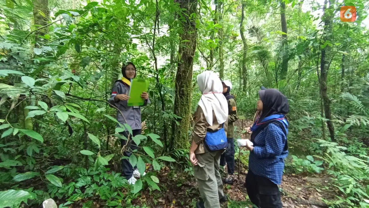 Puluhan pelajar dan mahasiswi saat praktek konservasi alam di TNGGP Kabupaten Sukabumi (Liputan6.com/Istimewa).