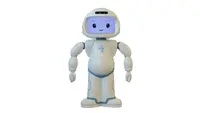 Robot membantu siswa dengan ketidakmampuan belajar untuk tetap fokus. Kredit: University of Waterloo