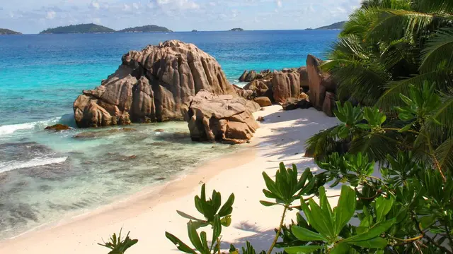 [Bintang] Seychelles