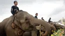 Pawang menuntun gajahnya untuk makan sebelum pertandingan Polo Gajah dalam Turnamen Piala Raja Gajah di sebuah resor tepi sungai di Bangkok, Thailand, (9/3). Acara amal ini memperebutkan Piala Raja Gajah yang digelar tiap tahun. (AP Photo / Sakchai Lalit)