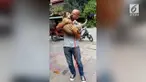 Seorang aktivis hewan bernama Michael Chor menyelamatkan nyawa seekor anjing bernama Noun. Ia menebus Noun dari rumah jagal dan membawanya pulang untuk diadopsi.