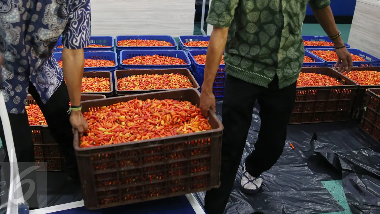 Bareskrim Polri Ungkap Permainan Harga Cabai