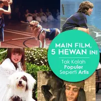 Main Film, 5 Hewan Ini Tak Kalah Populer Seperti Artis. (Desain: Nurman Abdul Hakim/Bintang.com)