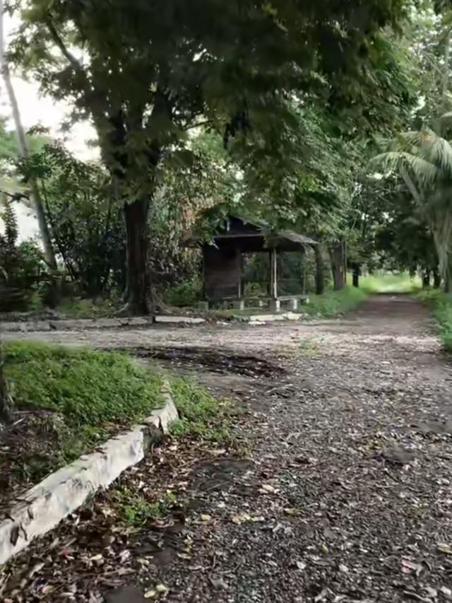 Perumahan Dinas Krakatau Steel Terbengkalai