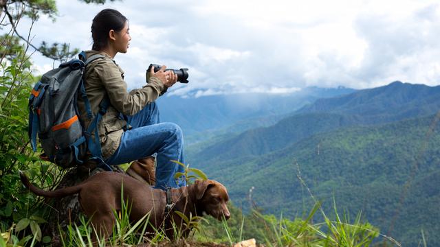 Wildlife Photographer