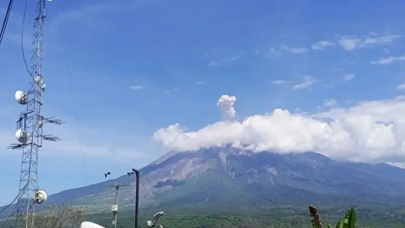 Gunung Semeru kembali erupsi dengan ketinggain 700 meter (Istimewa)