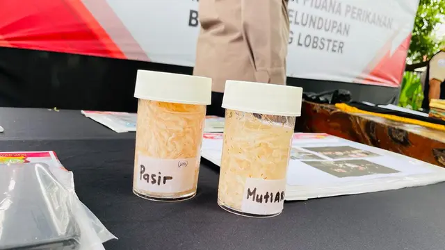 Polresta Bandara Soekarno Hatta menggelar konferensi pers pengungkapan tindak pidana perikanan modus penyelundupan benih lobster.