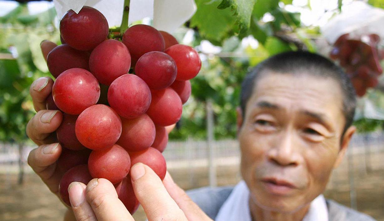 Anggur Ruby Roman Jepang hanya dikembangbiakkan di Ishikawa Prefecture di Jepang.  Buah anggur ini tumbuh besar hampir seperti bola tenis meja. Harganya dijual dengan bandrol US$ 6.400 atau Rp 77,83 juta per ikat. (www.independent.co.uk)