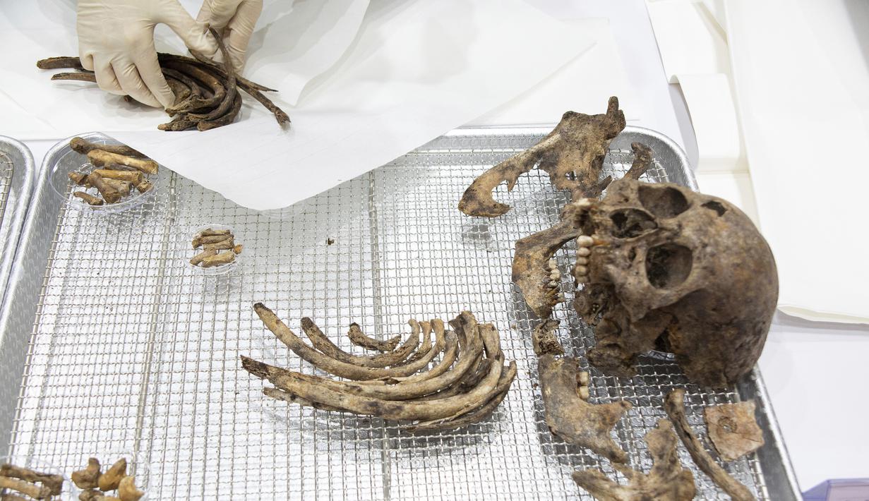 Anggota MND Agency for KIA Recovery and Identification (MAKRI) Korea Selatan menata jenazah tentara China yang tewas dalam Perang Korea di Incheon, Korea Selatan, Rabu (1/9/2021). Korea Selatan memulangkan 109 tentara China yang tewas dalam Perang Korea. (Jeon Heon-kyun/Pool Photo via AP)