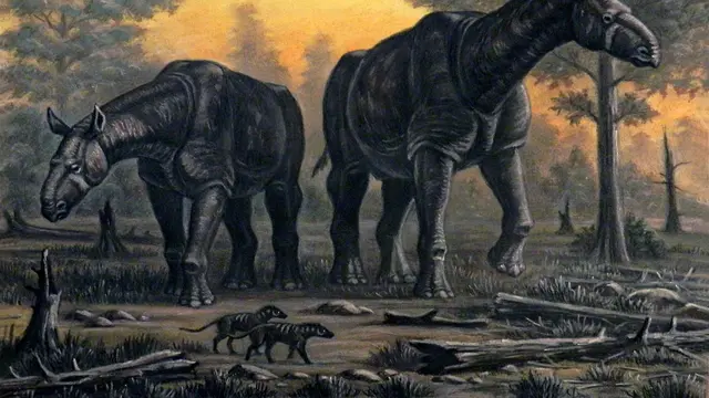 Paraceratherium