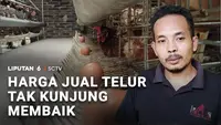 Harga Telur Tak Kunjung Membaik, Peternak Mengeluh