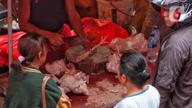Harga Ayam Potong