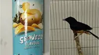 Tragis, Burung Langka Ini Diselundupkan Dalam Kaleng Keripik