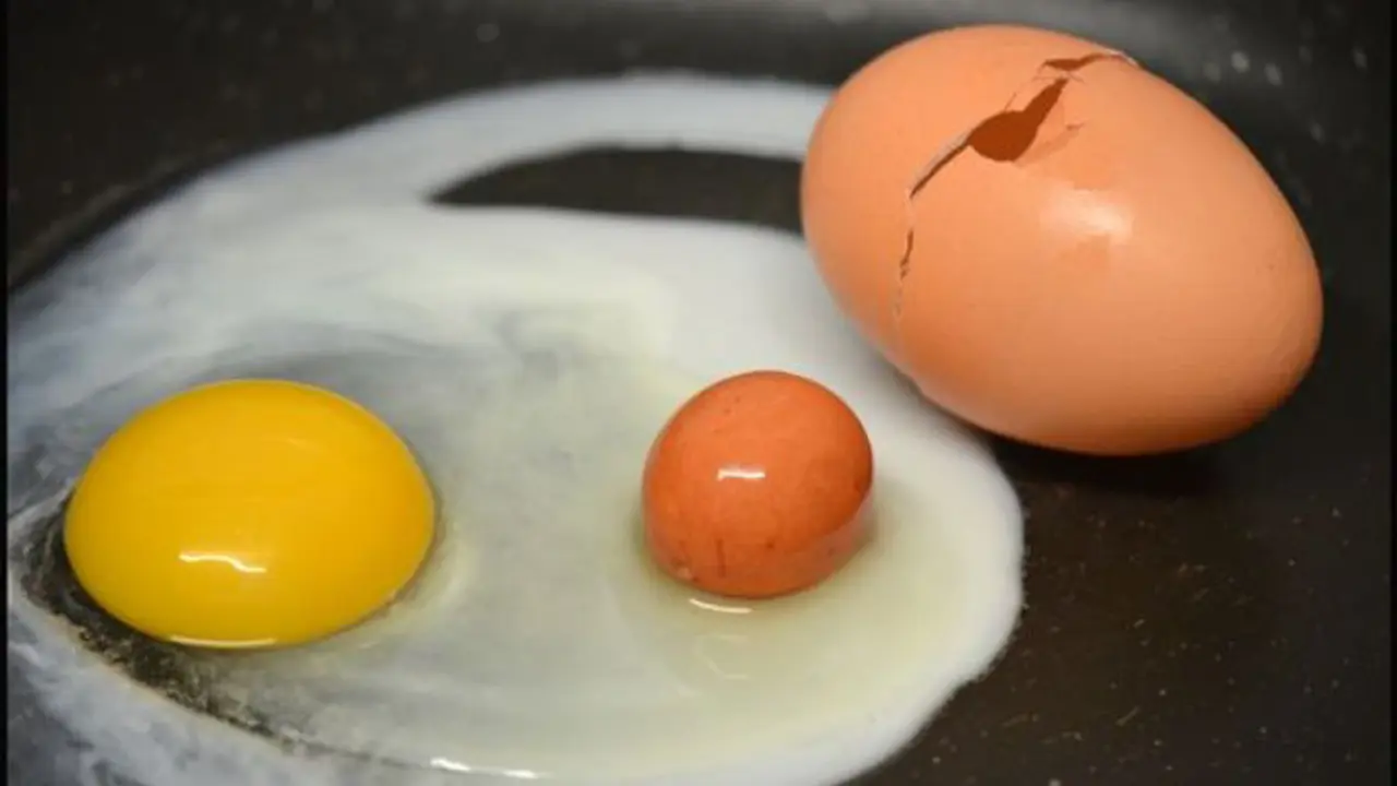 Pasangan Ini Terkejut Temukan Telur di Dalam Telur