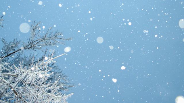 Seasonal Pick Up Lines