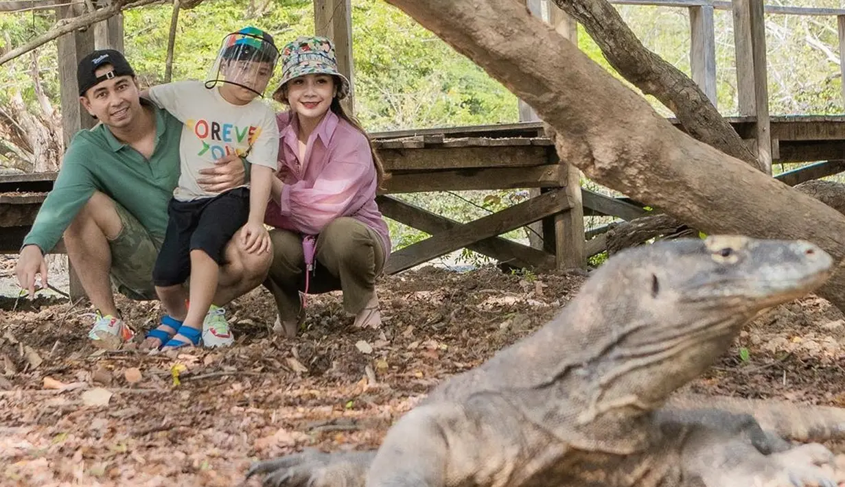 Raffi Ahmad dan Nagita Slavina (Instgram/raffinagita1717)