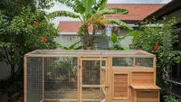 9 Jenis Rangka Kandang Ayam Anti Lapuk di Segala Cuaca, Solusi Tahan Lama