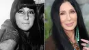 Dilihat dari foto lama dan baru, banyak yang berubah dari wajah Cher. Dari semula ayu, wajahnya jadi berubah menjadi aneh. (PopCrush)