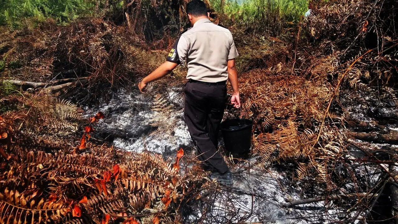 Kebakaran Lahan