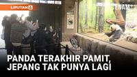 Panda Terakhir di Jepang Akan Kembali ke China Januari 2026