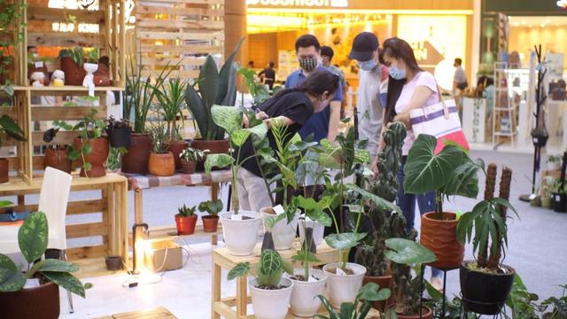 Menengok Pameran Urban Garden Ada Tanaman Hias Seharga Rp 7 5 Juta Bisnis Liputan6 Com