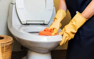6 Alat Pembersih yang Bisa Merusak Toilet, Wajib Tahu